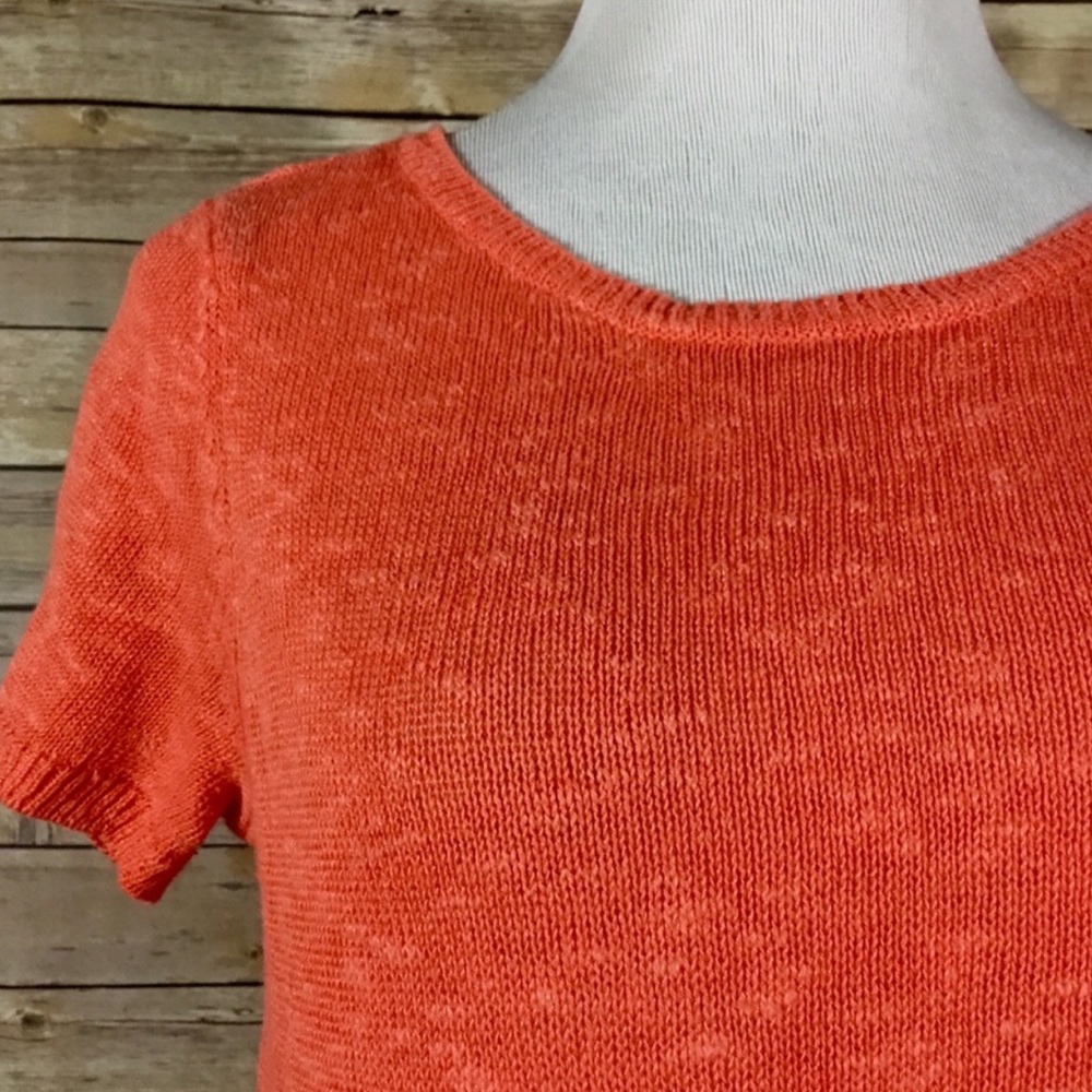 Springtime Short Sleeve Sweater Time - Picture 2 of 8